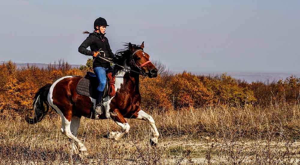 Equine-Assisted Therapy: 5 Benefits You Might Not Know About