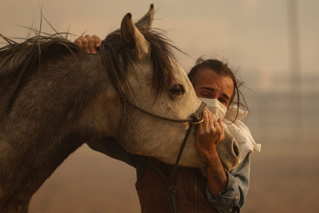 Equine-Assisted Therapy: 5 Benefits You Might Not Know About